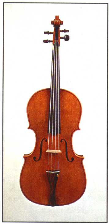 viola.jpg